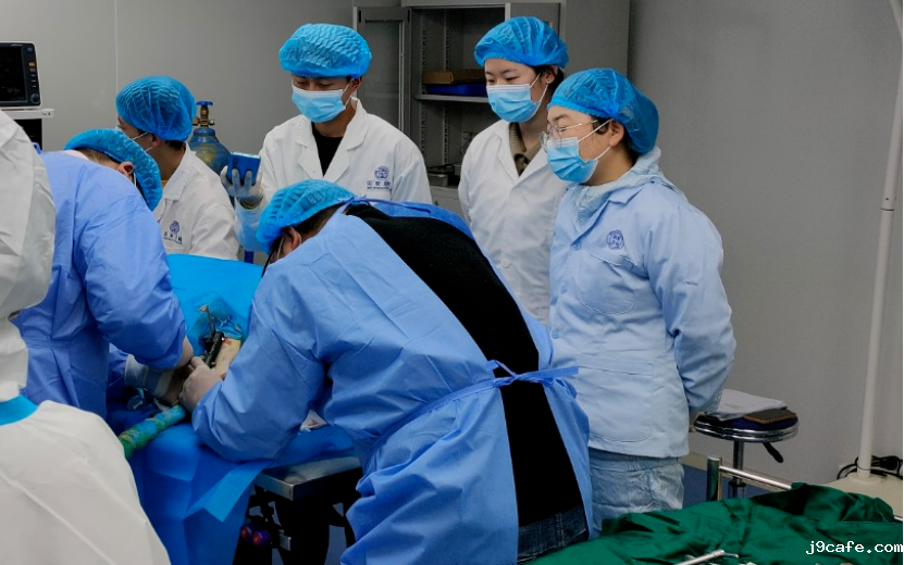 与您同行 | 伟德bv1946官网功效性及安全性评价研究服务，助力江西三鑫医疗科技股份有限公司医用无针注射器获批成功