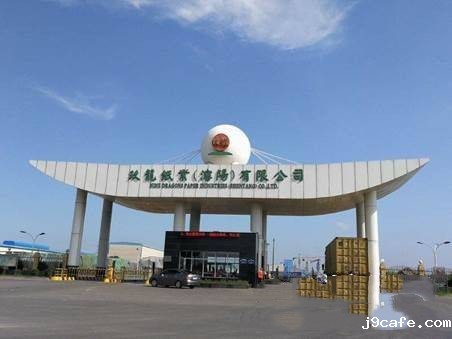 玖龙纸业（沈阳）有限公司