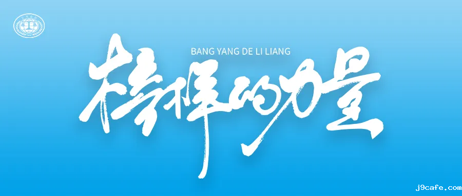 企业标杆 | 看职场菜鸟如何黑马逆袭？