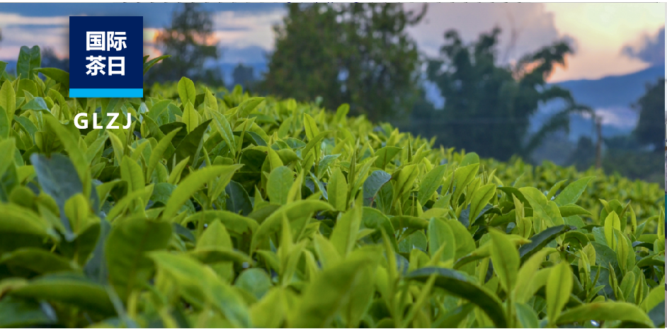 国际茶日 | 科学检测赋能茶企突围与品质升级