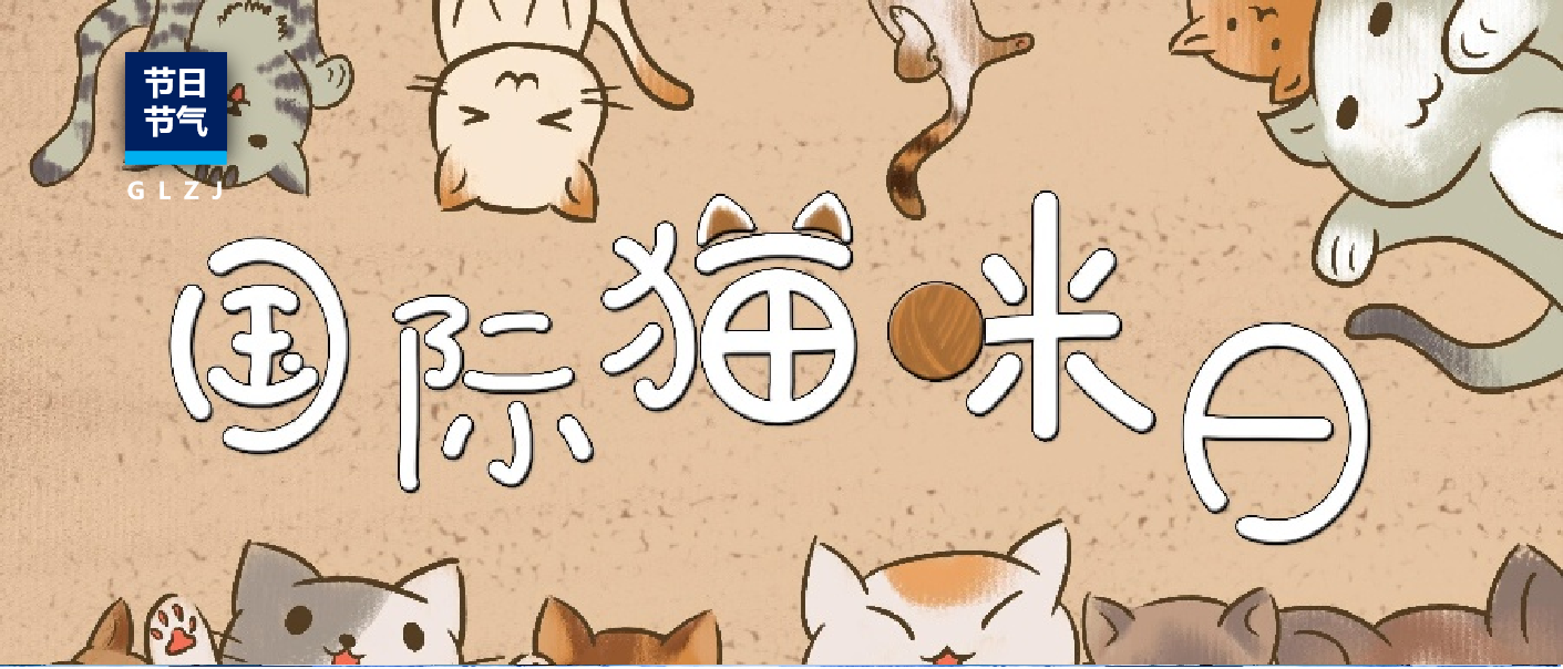 国际猫咪日 | 科学守护“喵健康”，从读懂猫粮检测报告开始